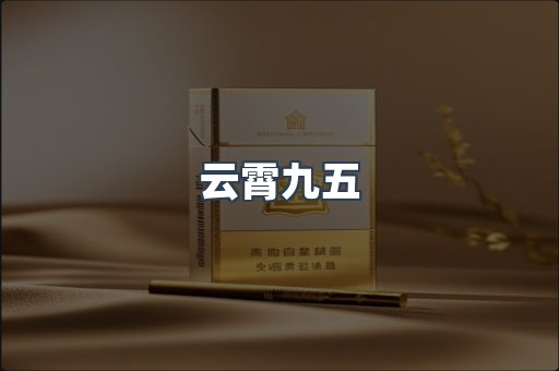 云霄九五